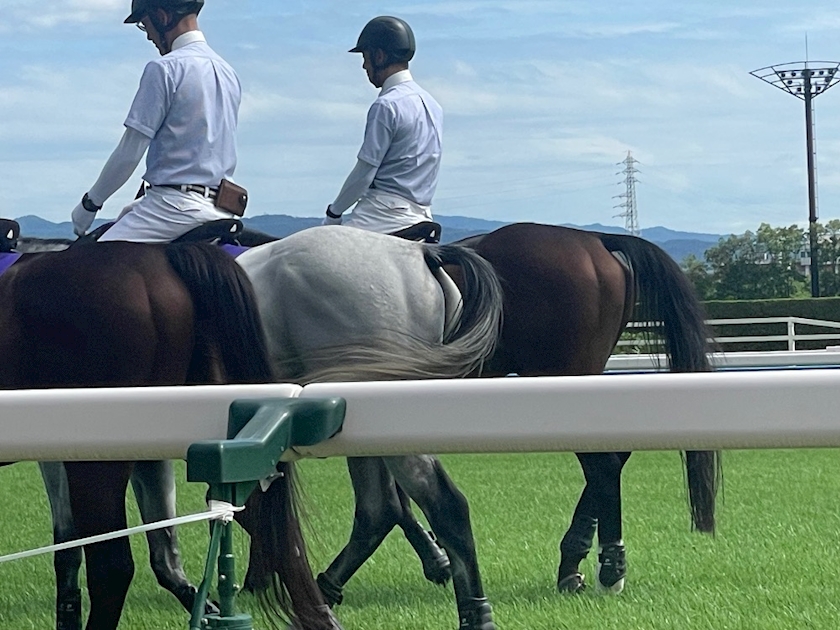 ツヤツヤのお馬さん🐎🔰