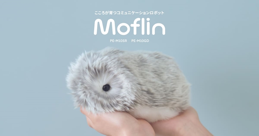 ペットロボット飼うか悩んでます🤖