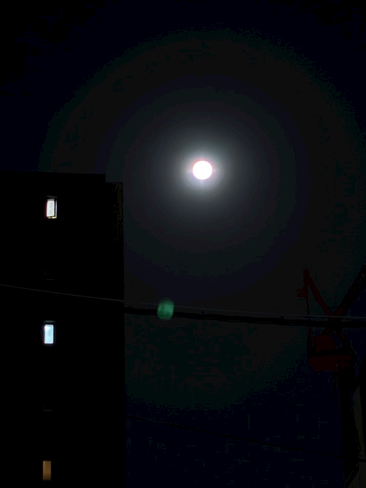 名前があるらしい🌕✨️