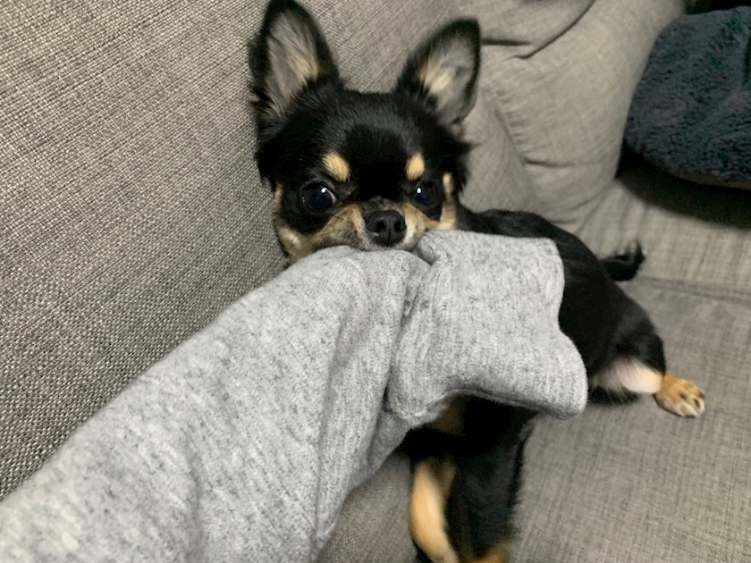 嫌われている&hellip;&hellip;😢