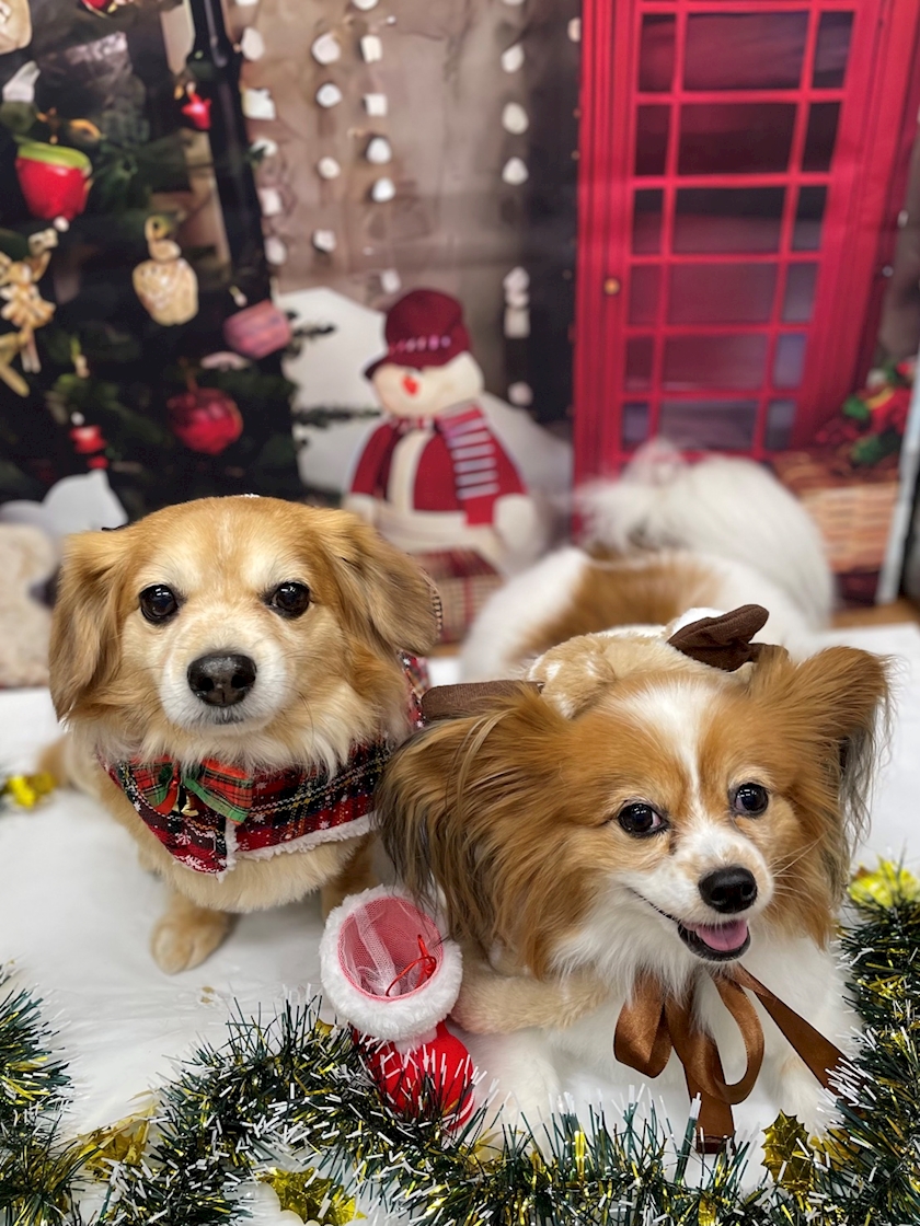 今年もお疲れ様でした✨