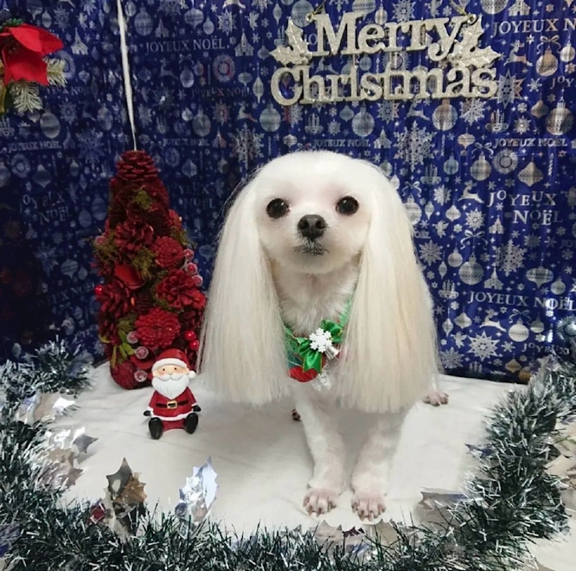 ✂チョキチョキ✂️