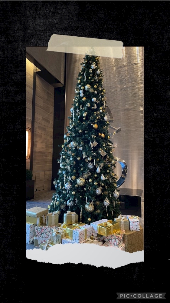 🎄クリスマスツリー