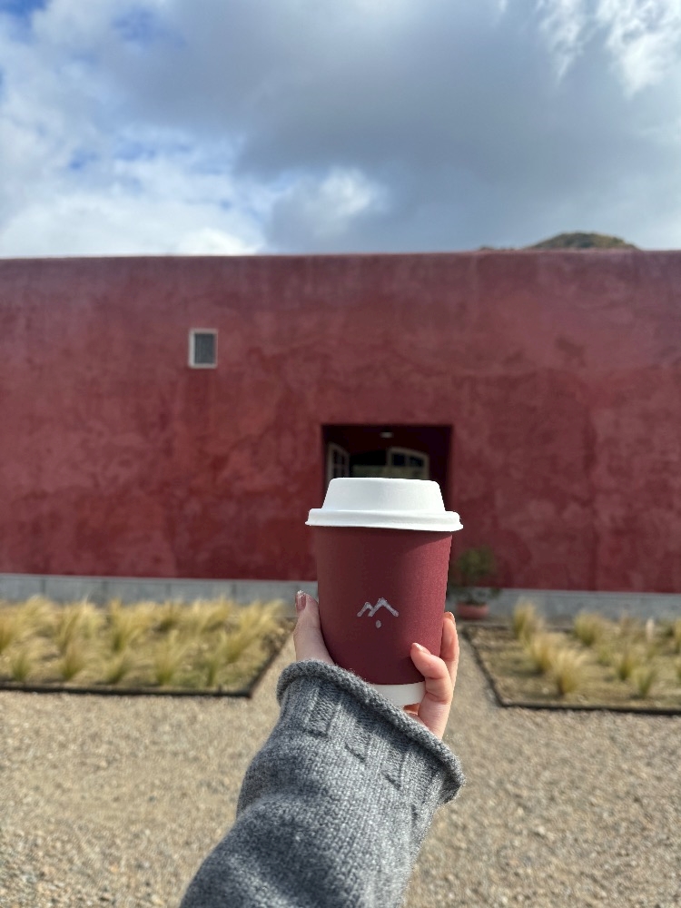 本日出勤です✨