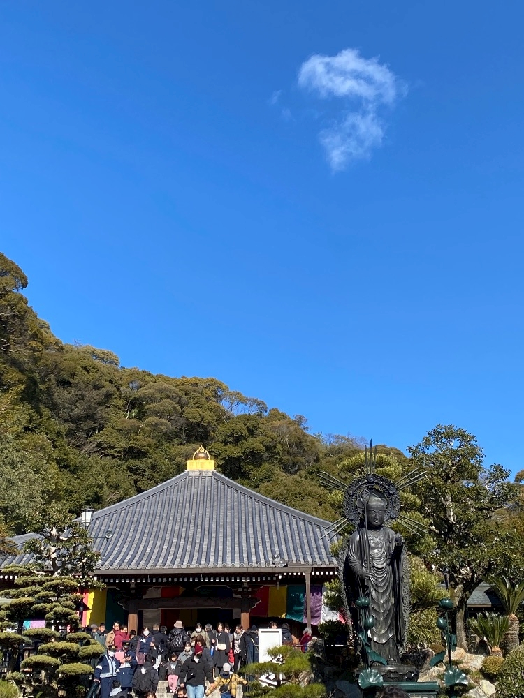 💖２０２５🐍