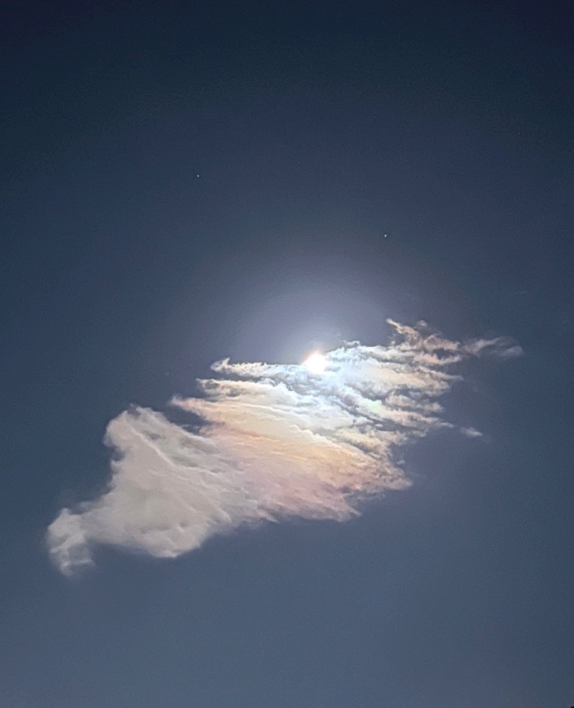 🌕🌙れなさんに続き