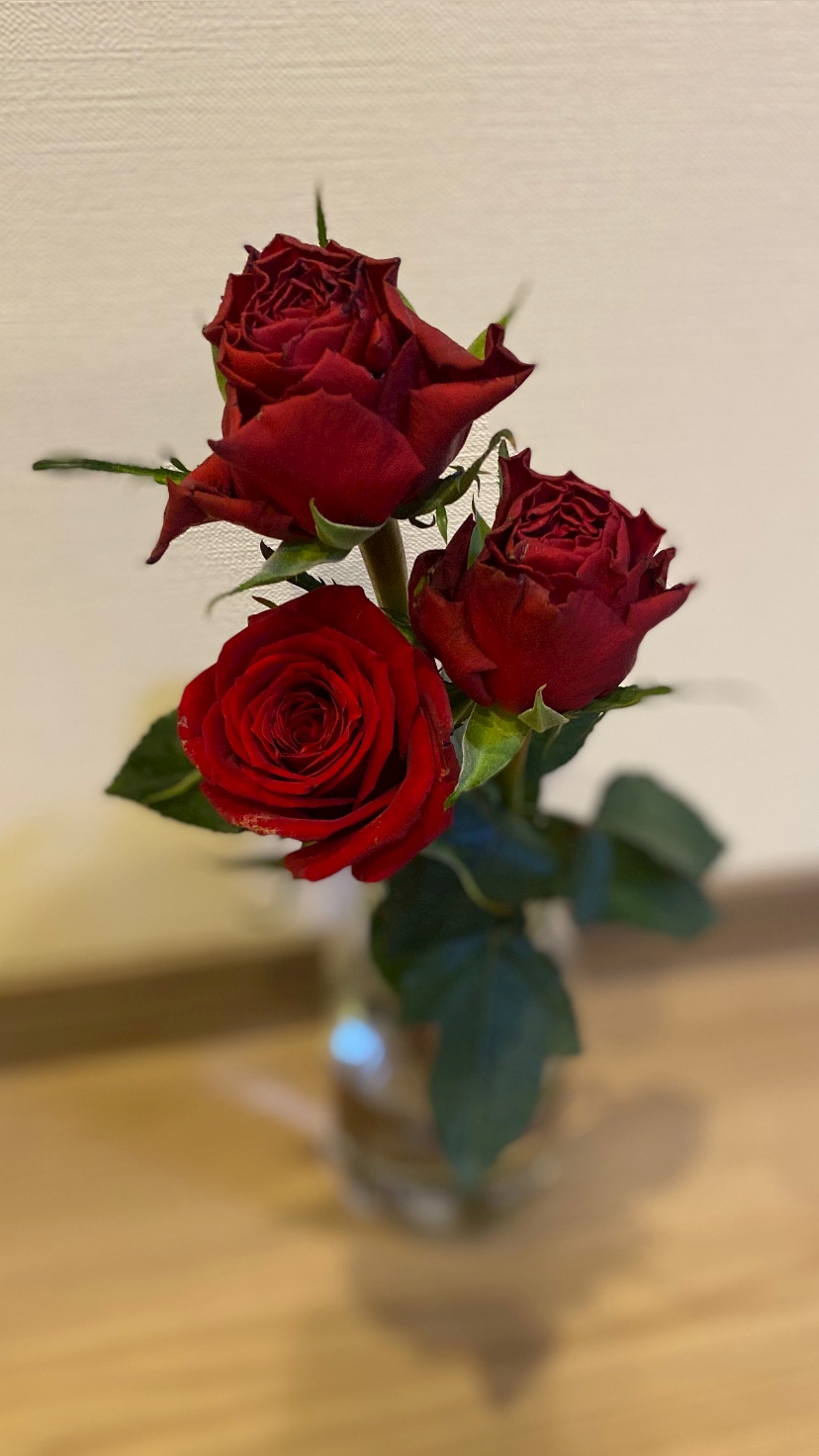 🌹🌹✨