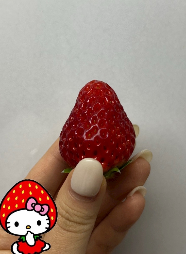 🍓🤍