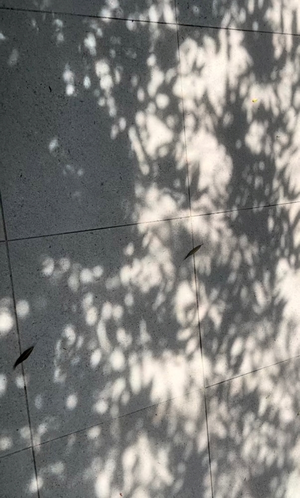 🫠 ☀️