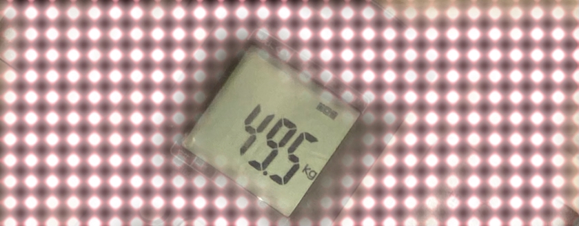 🐷㌧㌧トーン🧡