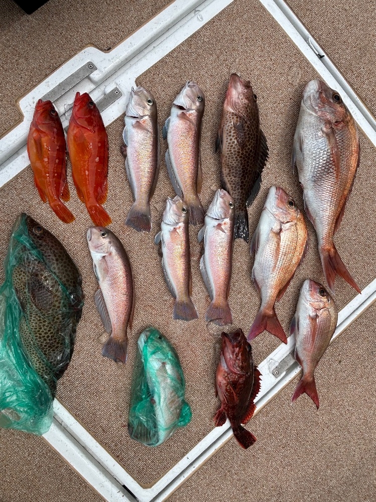 🎣🩷