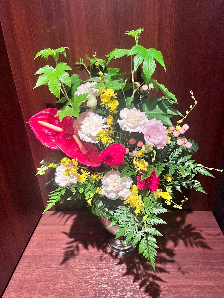 🌺🌿