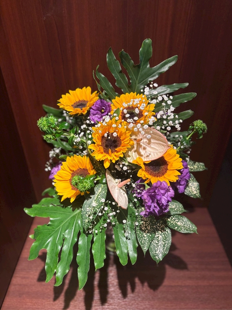 ✨🌻