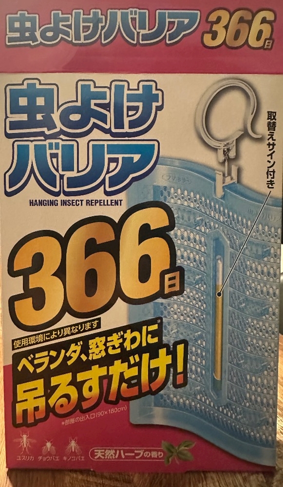 【夏の必需品、導入しました🌿】