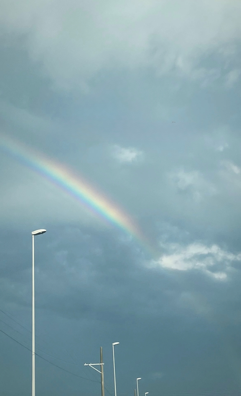 🌈ᵕ̈*