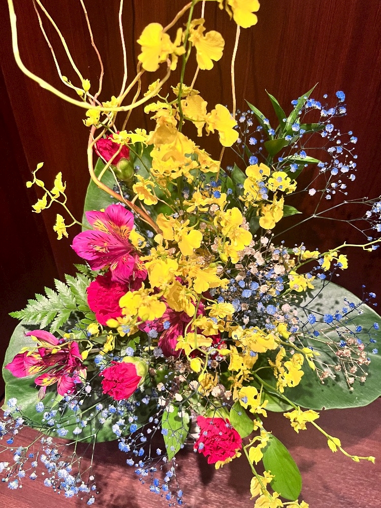 🌼🌼