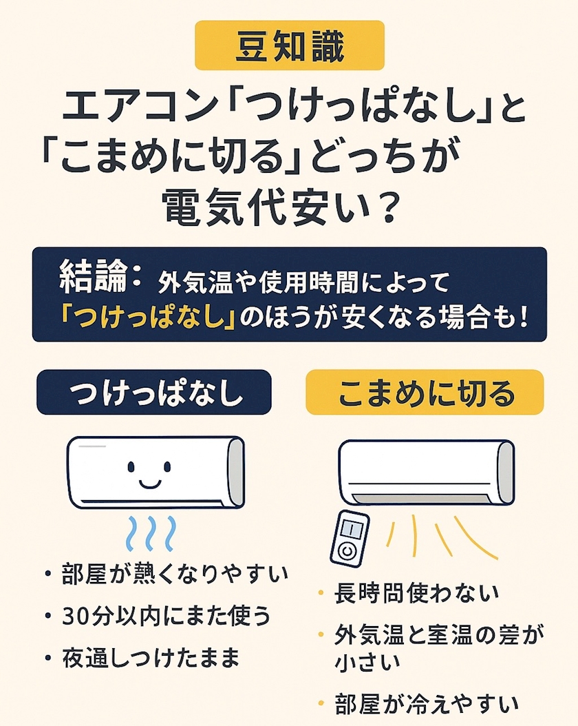 【豆知識シリーズ】