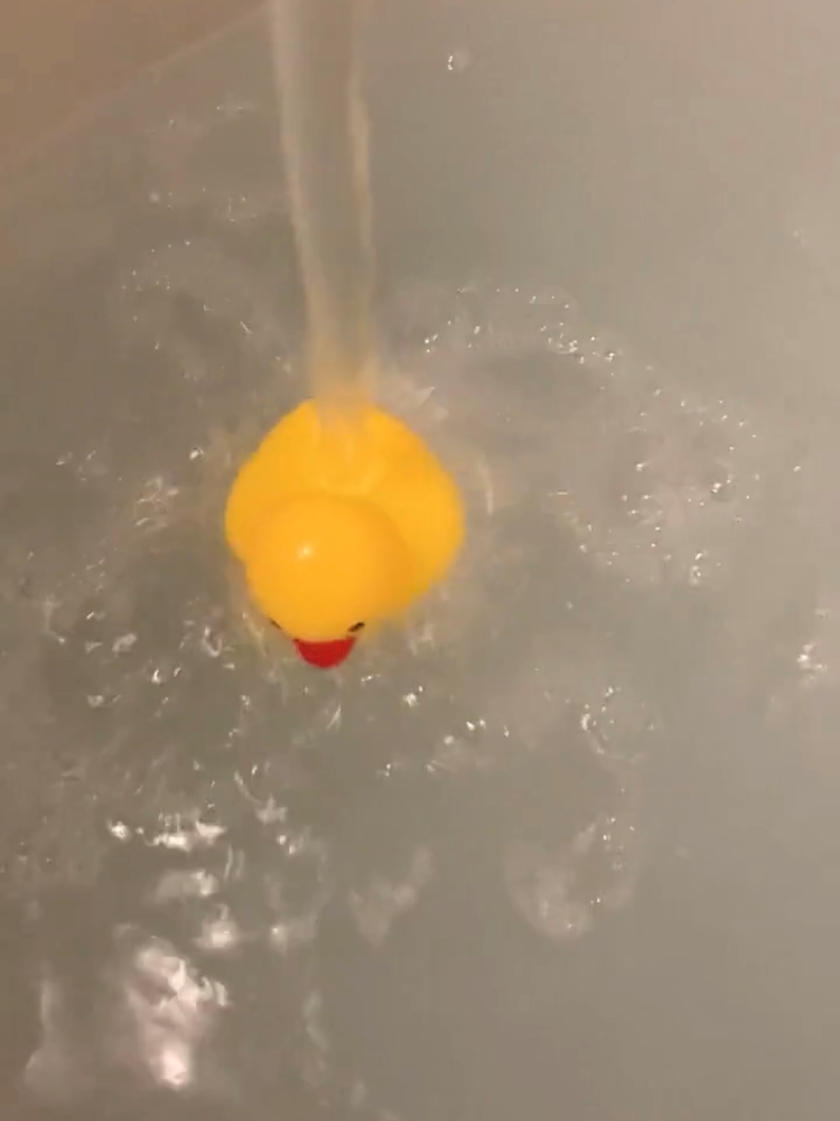 🛁🐥