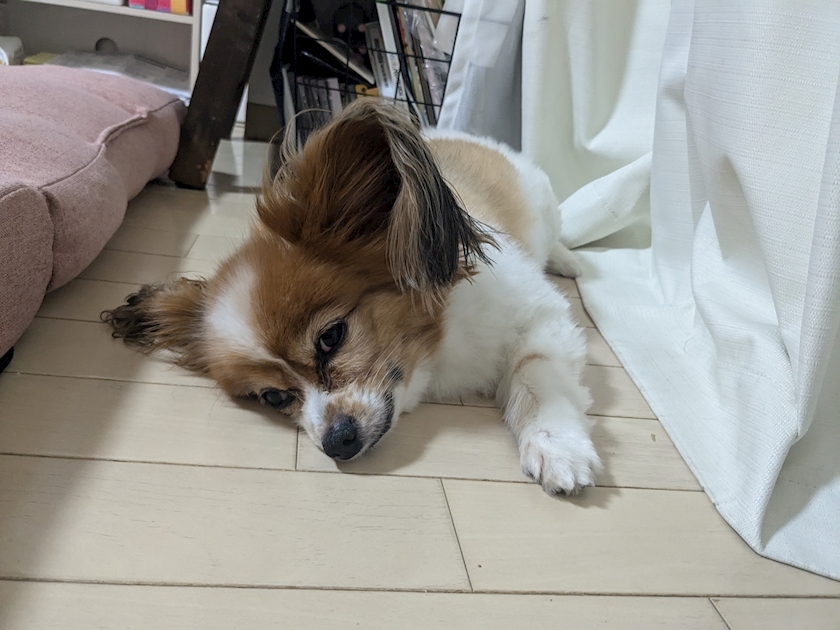 ⭐⭐