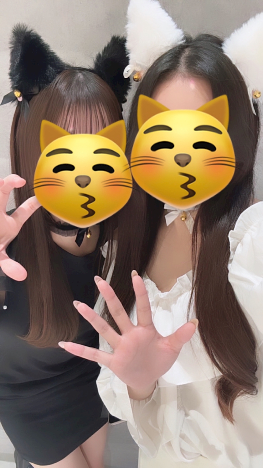 🐱ྀི🩷ྀི🤍ྀི