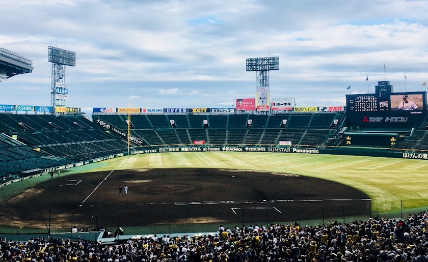 写真は高校野球ではありません⚾️🙅‍♀️🌻