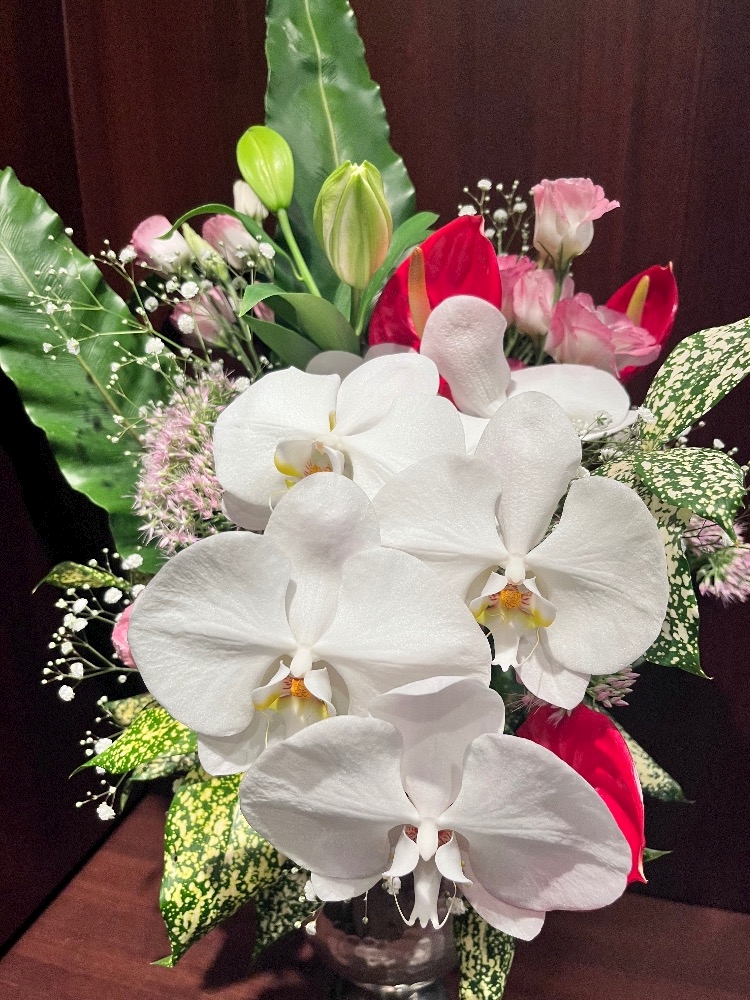 💐🤍