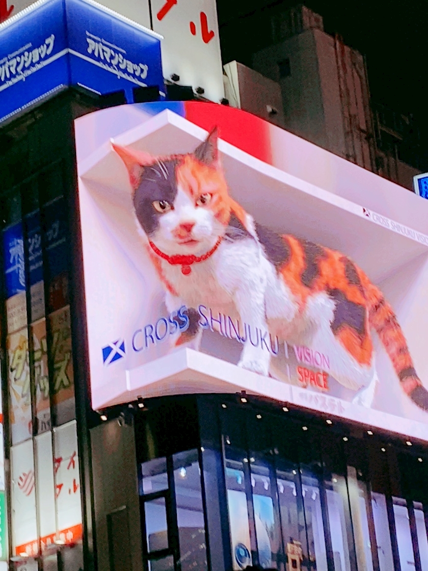 猫好きにはたまらない💕