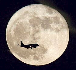 見る人の心に触れる🌕月光浴