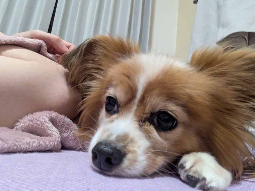 お疲れ様です✨