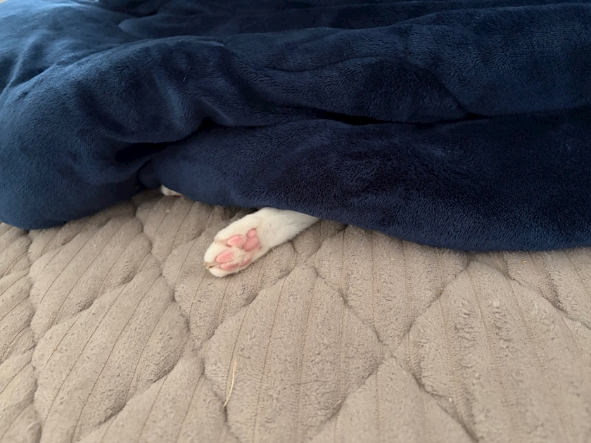 こんにちは😊✨