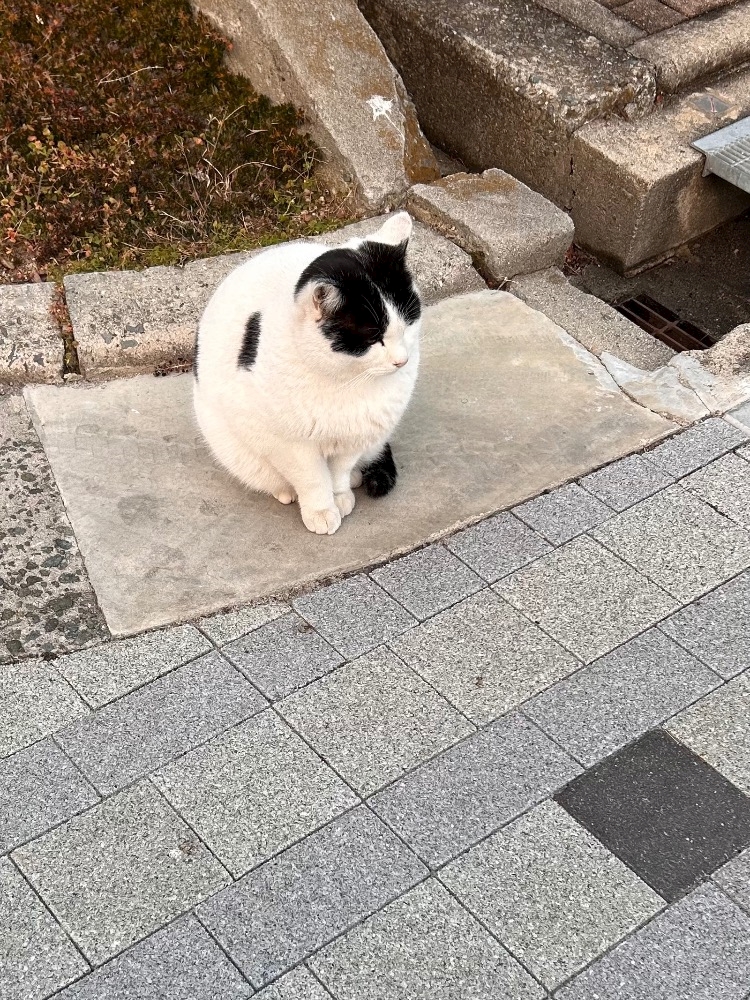 もうすぐ🎄🎅