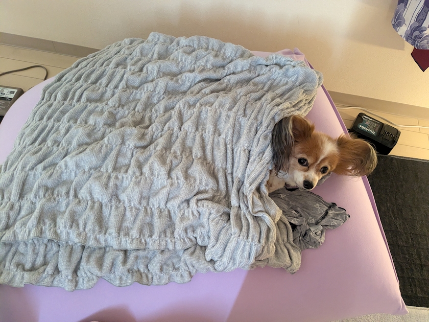 お疲れ様です✨