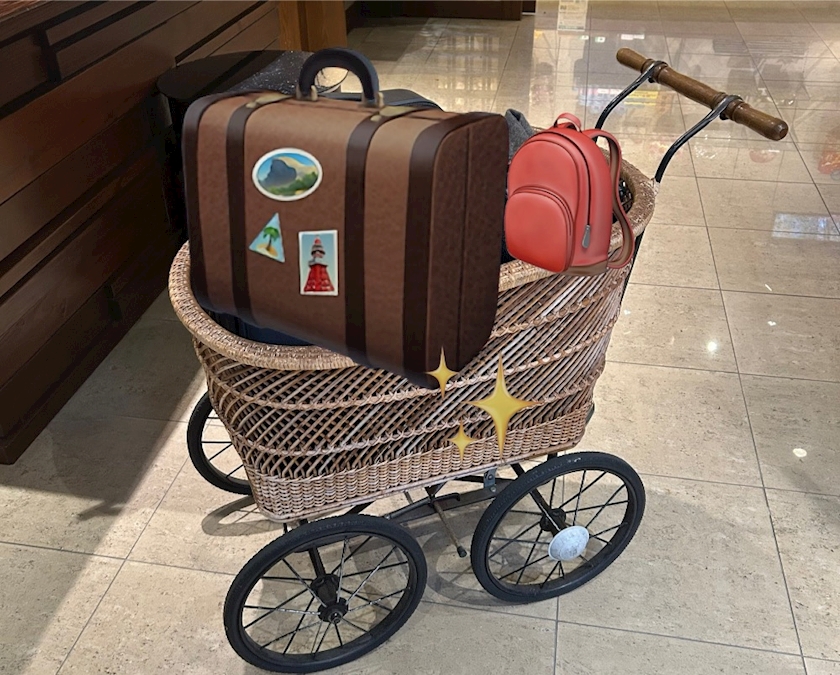 女子って🧺カゴ系好きが多いような気が致します😍