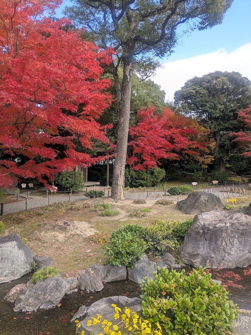 お疲れ様です🥶🥶