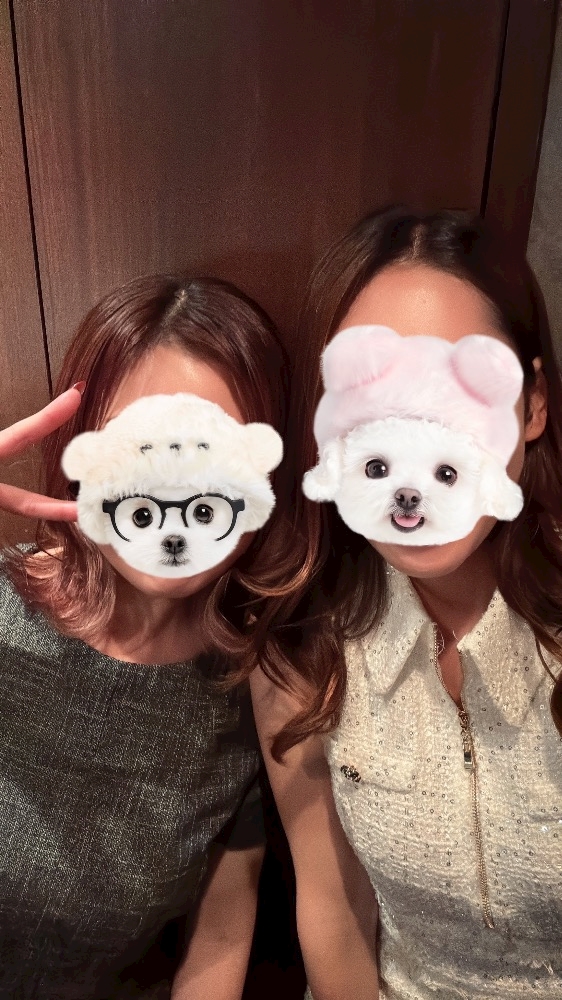 原作派？ドラマ派？