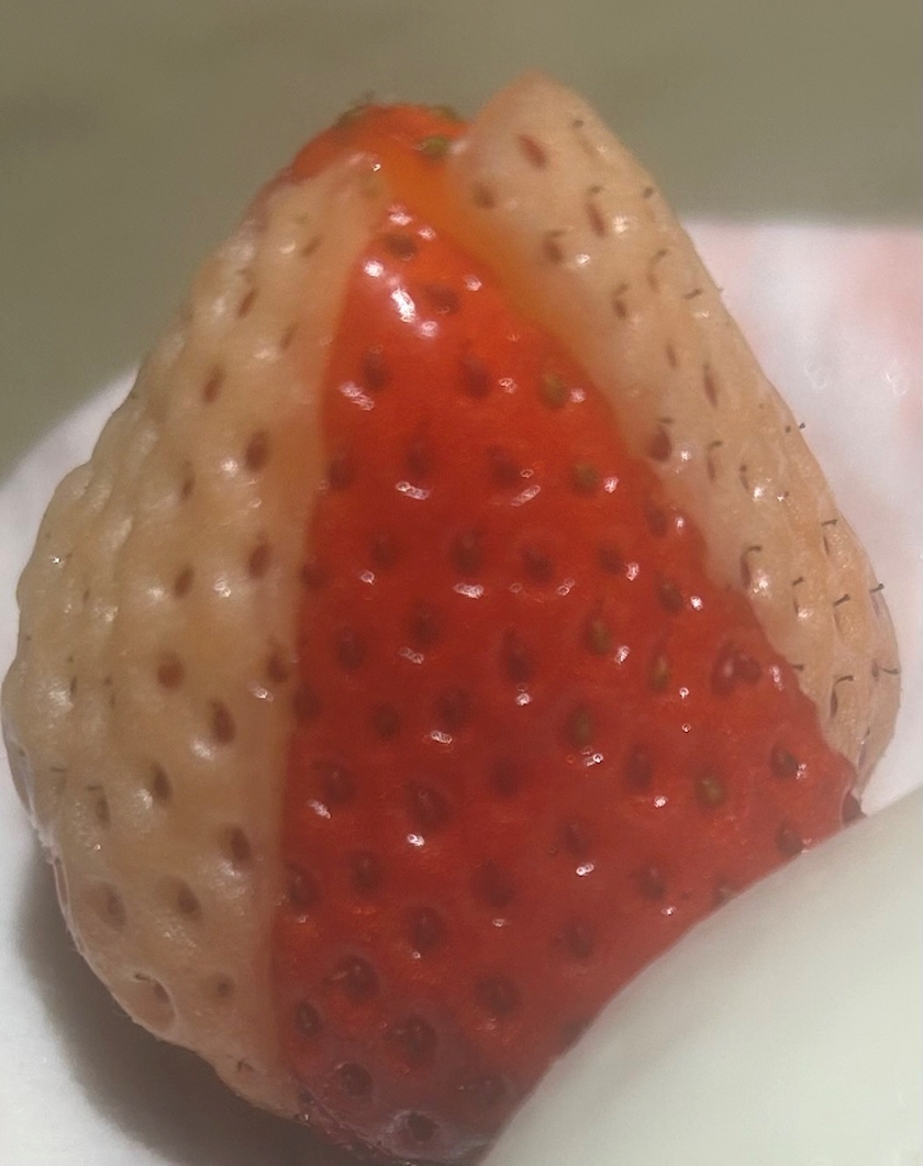 🍓の食べ比べ
