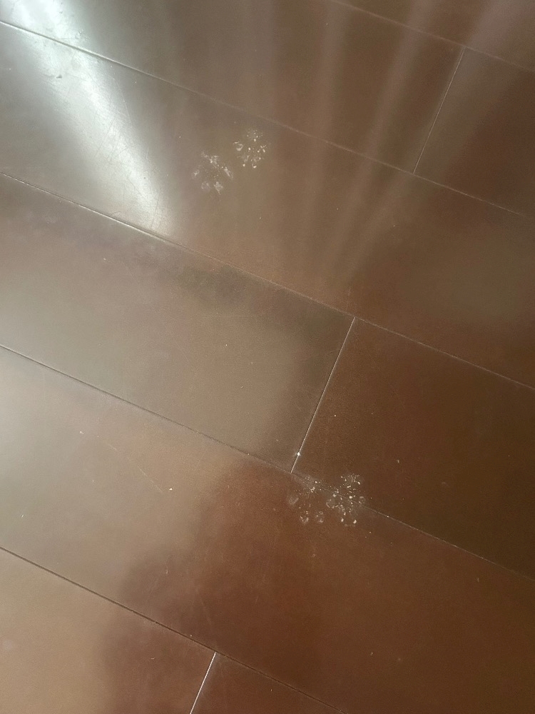 今日の犯人は😁