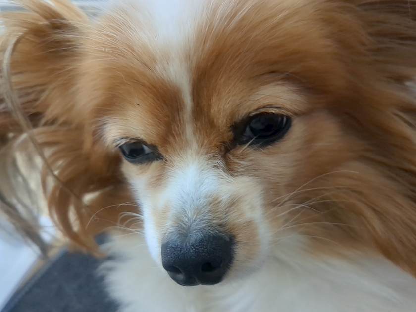 お疲れ様です✨