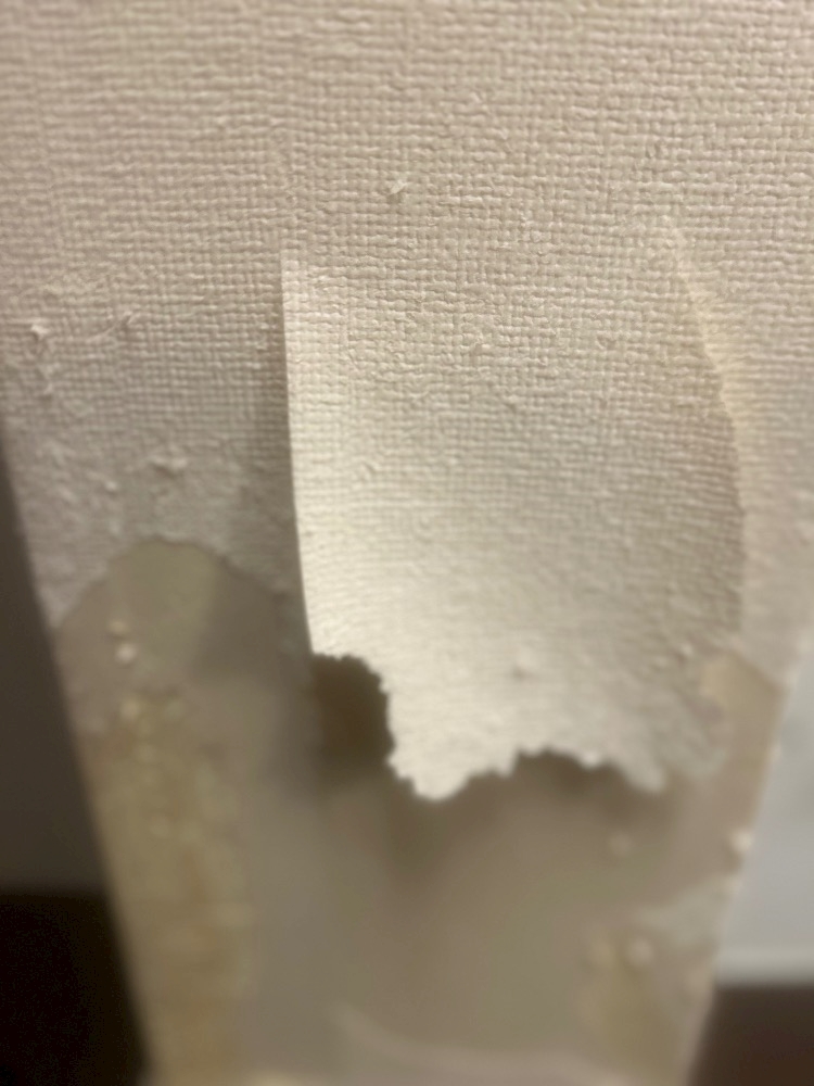 やってくれたわぁ～🤣