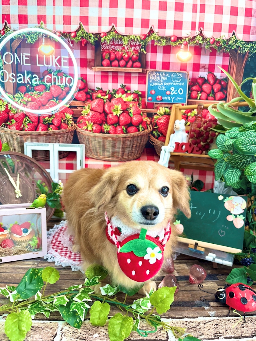 お疲れ様です✨