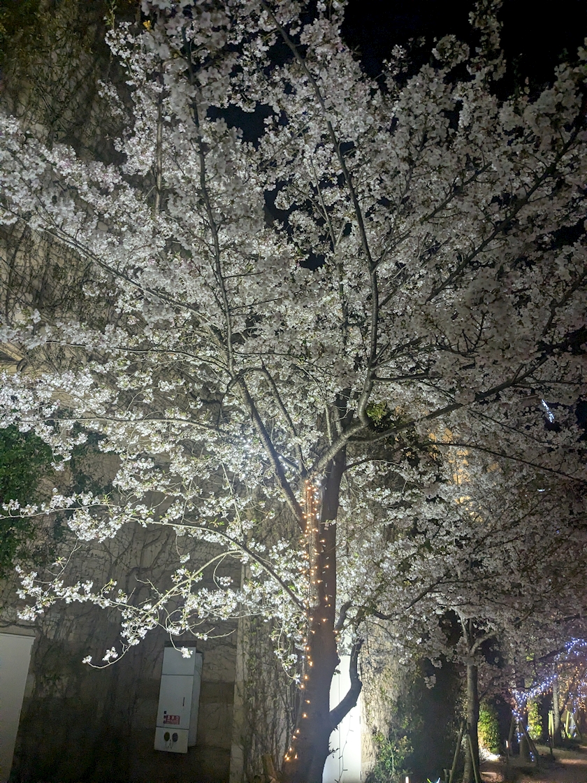 お疲れ様です😊