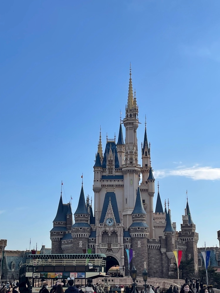 甘いものが食べたい日🍰