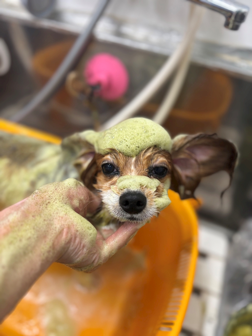 お疲れ様です✨