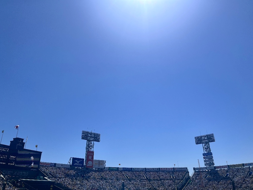 🏟️💫