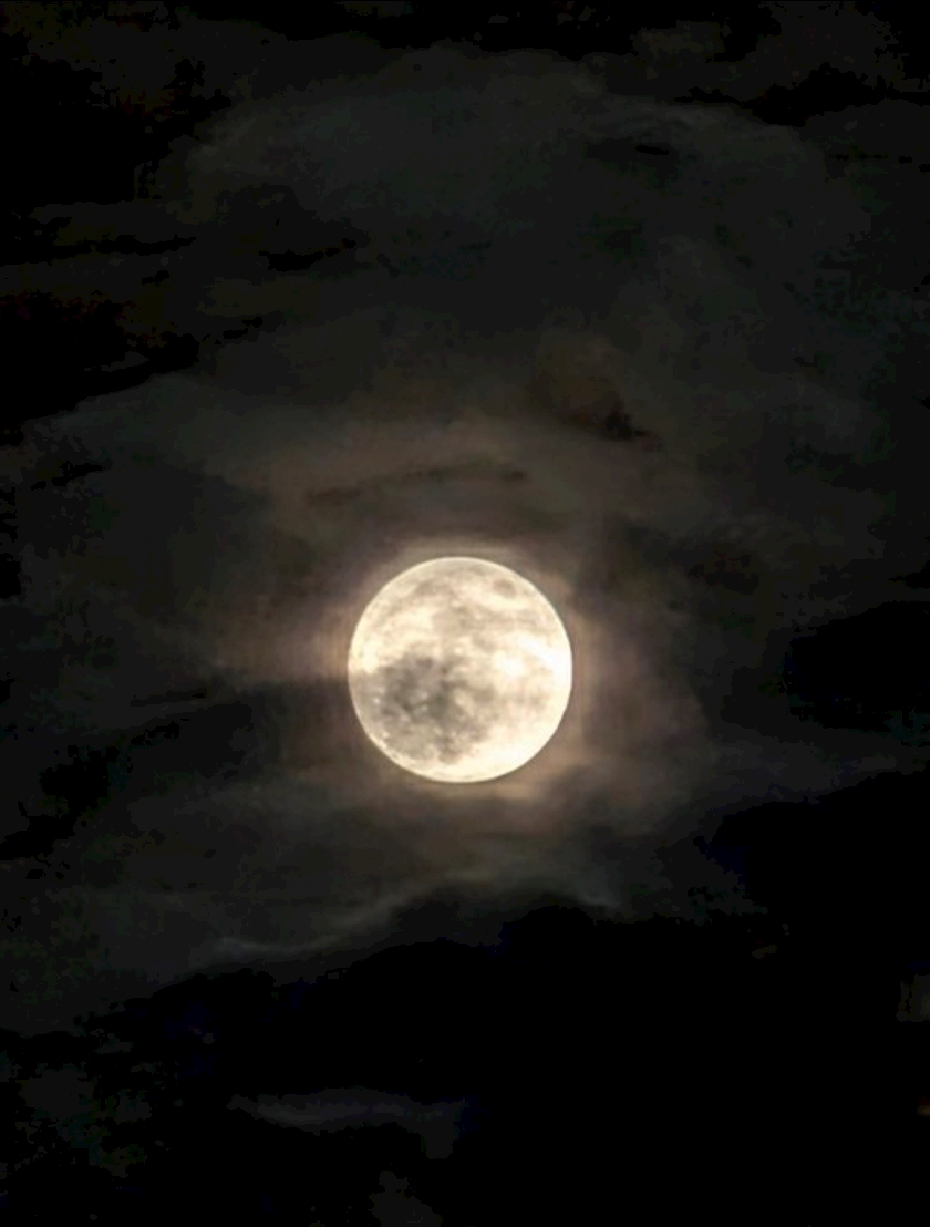 🌕💙