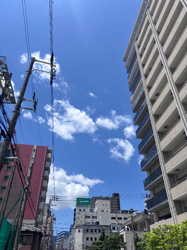 晴天☀️