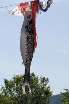 🎏