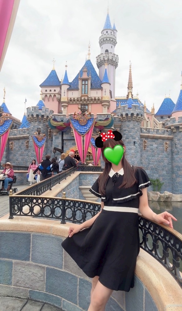 🐭🇺🇸
