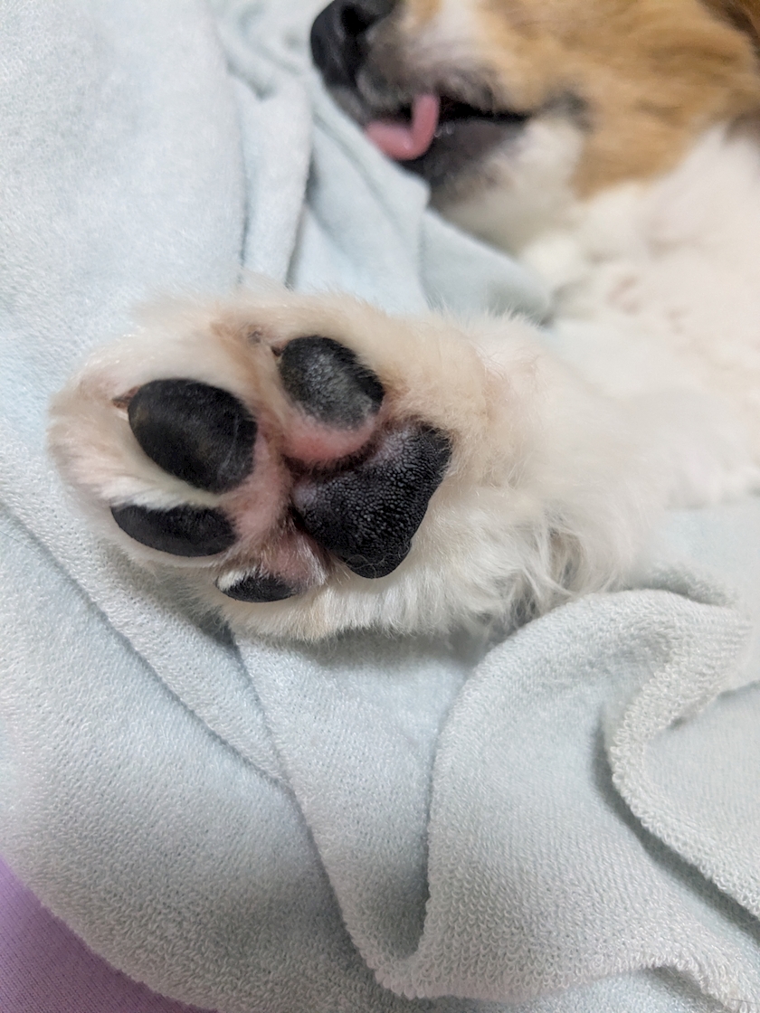 こんにちは😊