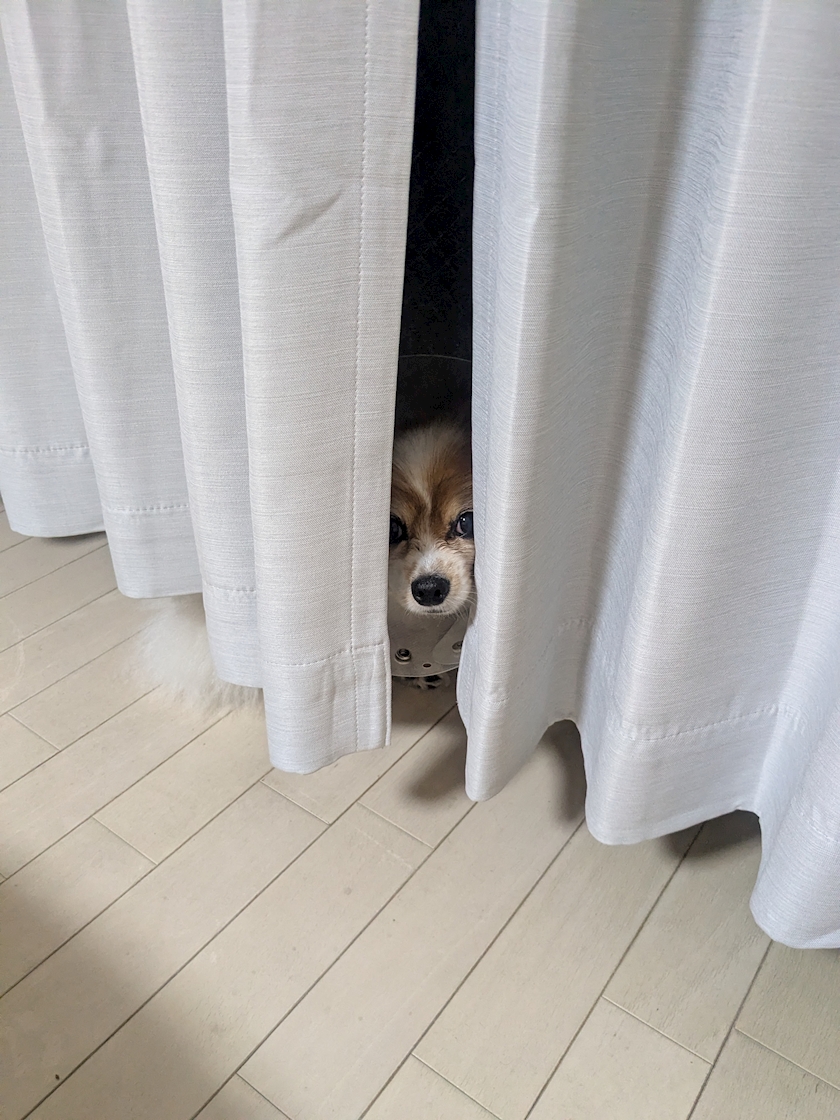 お疲れ様です！